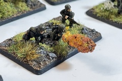 Flames of War - Early War - Luftlandesturm - Infanterie - Luftlandesturm Flamer