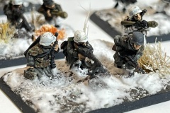 Flames of War - Late War - German - Ardennen - Infanterie - Volksgrenadiere