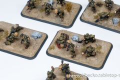 Flames of War - Mid-War - Afrika - Deutsches Afrikakorps - Infanterie
