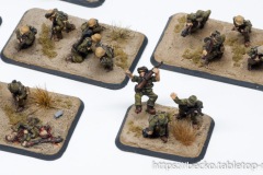 Flames of War - Mid-War - Afrika - Deutsches Afrikakorps - Infanterie