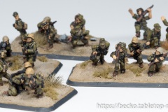 Flames of War - Mid-War - Afrika - Deutsches Afrikakorps - Infanterie