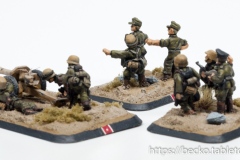 Flames of War - Mid-War - Afrika - Deutsches Afrikakorps - Infanterie