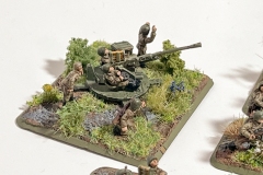 Flames of War - Sovjet - Geschütze - 37mm AA Guns