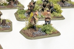 Flames of War - Sovjet - Infanterie - Strelkovy