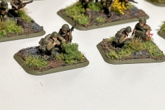 Flames of War - Sovjet - Infanterie - Strelkovy