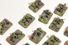Flames of War - Sovjet - Infanterie - Strelkovy
