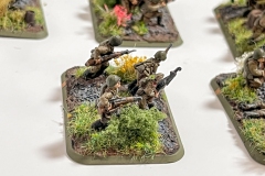 Flames of War - Sovjet - Infanterie - Strelkovy
