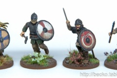 Saga - Vikinger