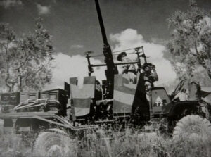 Referenz 15 zu Tarnfarben, taktischen Markierungen und Abzeichen der 6. Südafrikanischen Panzerdivision
