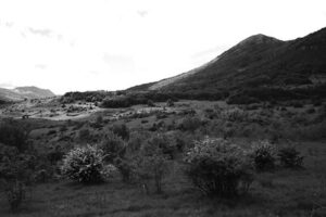 Südafrikanische Truppen bei Monte Pezza im Oktober 1944